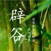 �ٹȵĺô� �ٹ���ʲô�ô�