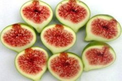 �޻�����ҩ�ü�ֵ �޻�������Щҩ�ü�ֵ