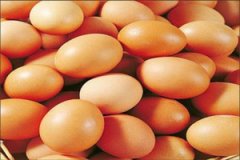 һ��Լ��������� һ��Ӧ�óԼ�����������