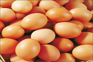 һ��Լ���������