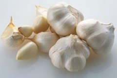 ���ⷢѿ�ܳ��� ���ⷢѿ�˻��ܳ���