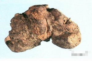 �����ߵĹ�Ч