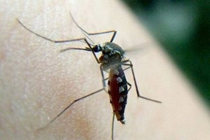 �и�������ҧ����ô��