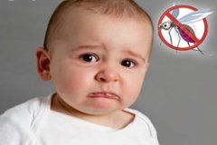 Ӥ��������ҧ����ô�� Ӥ��������ҧ��Ҫ��ô��