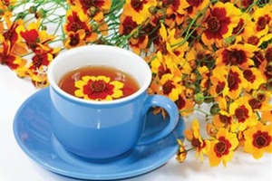 �ջ���ĸ�����