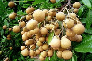 ���۳Զ��˻��ϻ���