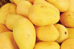 ��â��������ô�� ��â������Ҫ��ô����