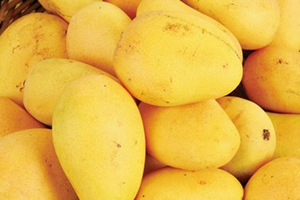 ��â��������ô��