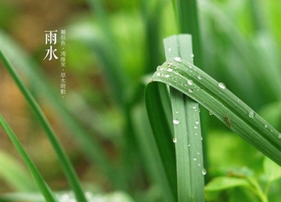 雨水节气如何养生 雨水节气调养脾胃是关键
