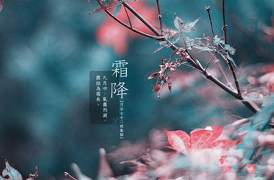 霜降时节多注意养胃 胃病高发期要注意养胃