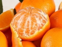 ����������ʲô ���������߲�ˮ���󼯺�