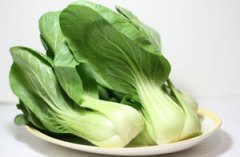 ���������˽��� ���������سԵ�10��������