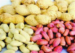 ʲô�˲��ܳԻ��� ���˳Ի����������˽���