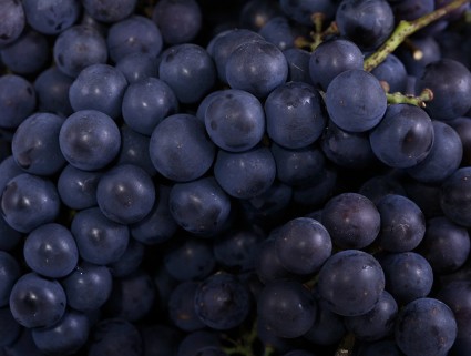 什么食物抗衰老 有效抗衰老的紫色食物介绍