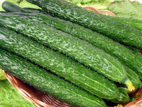 吃什么食物可以排毒 十大排毒养颜的食物推荐