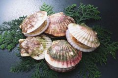 ʲôʳ�ﺬп�� ��п���ʳ�����