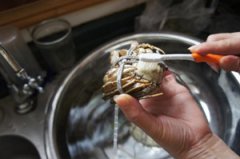 �з��ϴ�� �з��ôϴ�Ÿɾ�