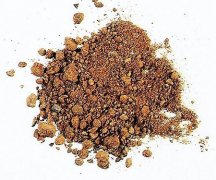 ǳ̸������ᵼ�²�����