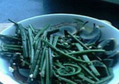 ާ�˰�Ƥ�������� ާ�������