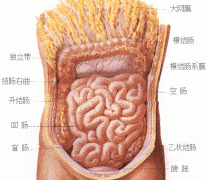 ���帹������ͼ����ͼƬ���