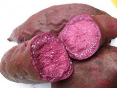 ������ѿ�˻��ܳ��� ��ѿ�ĺ����ܳ���