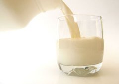 ţ���ܼӷ����� ţ�̼ӷ��ۺ���