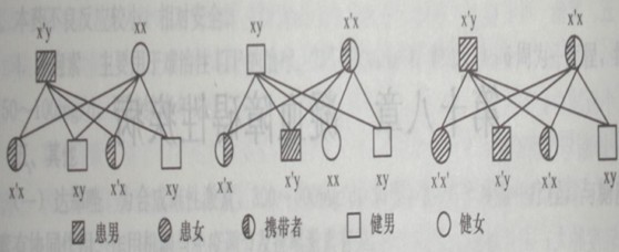 奋斗