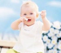 �ƻ����������� 2015�ƻ�����������