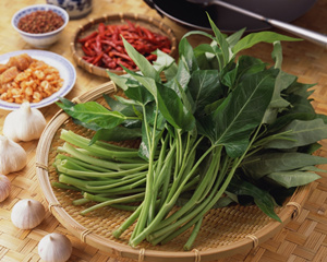 空心菜的营养价值 空心菜的营养价值有哪些