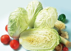 白菜的营养价值 白菜的营养价值有哪些