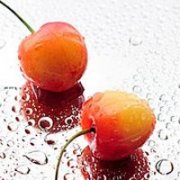 �з�����Щ���ٻ��е���������֪ʶ ����ָ��