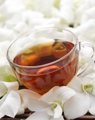 夏日必备饮品百合花茶