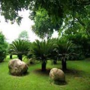 ���������ʺ�Լ�� ����10��̤��ȥ���Ƽ�