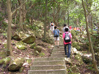 ������ɽ