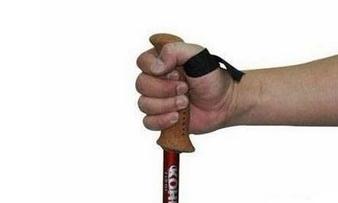 �����ɽ�ȵ����ȼ���