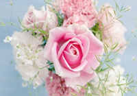 �������κ�ȥ��ͼ