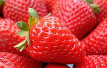 �����ɺ�