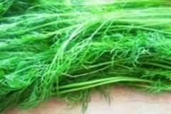 ������Ĺ�Ч����������Щ ������Ľ���