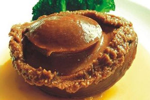 �����Ӫ����ֵ