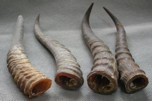 ����Ƿ۵Ĺ�Ч