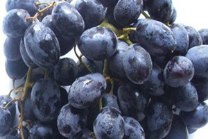 �ڼ��ص�����