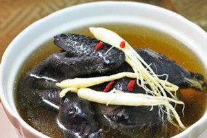 乌鸡的营养价值