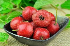 ɽ髵������빦Ч����Щ ɽ髵�ע������