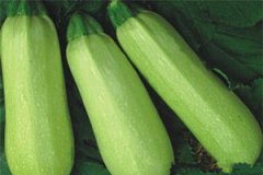 ����«��Ӫ����ֵ����Щ ����«��ѡ������