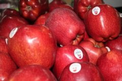 ƻ����Ӫ����ֵ��ʲô ƻ����ע������