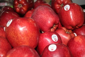 苹果的营养价值