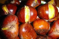 �����ӻ����� �����ӵ�ע����������Щ��