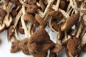 ��������Ӫ����ֵ