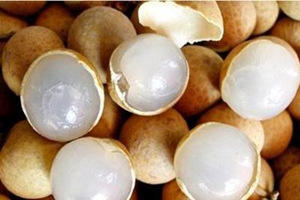 �������ϻ���