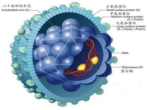 湿疣是怎么引起的